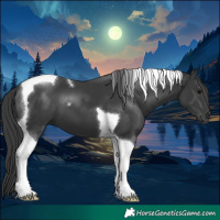 Horse Color:Black Tobiano 