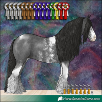 Horse Color:Liver Chestnut Sabino Tobiano 