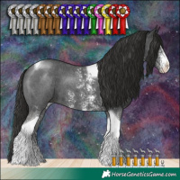 Horse Color:Liver Chestnut Sabino Tobiano 