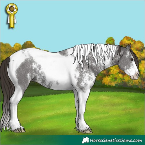 Horse Color:Liver Chestnut Sabino Tobiano 
