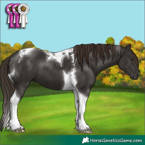 Horse Color:Liver Chestnut Tobiano 