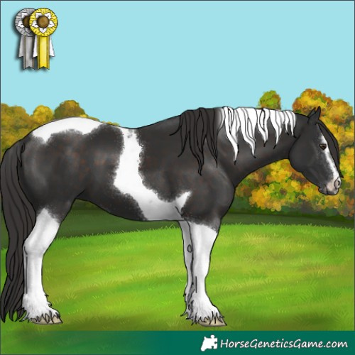 Horse Color:Liver Chestnut Sabino Tobiano 