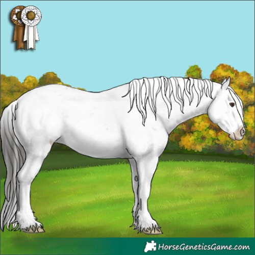 Horse Color:Liver Chestnut Sabino