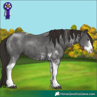 Horse Color:Liver Chestnut Sabino Tobiano 