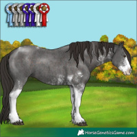 Horse Color:Liver Chestnut Sabino Tobiano 