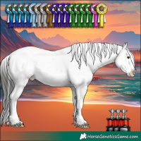 Horse Color:Liver Chestnut Sabino