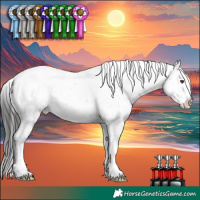 Horse Color:Liver Chestnut Sabino 