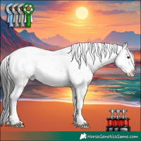 Horse Color:Liver Chestnut Sabino