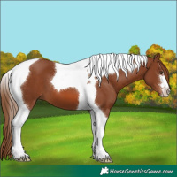 Horse Color:Chestnut Tobiano 