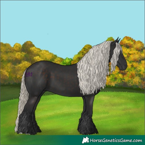 Horse Color:Liver Chestnut Mushroom 