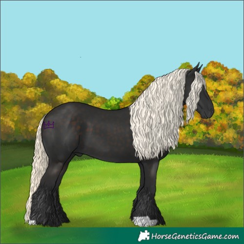 Horse Color:Liver Chestnut Mushroom 