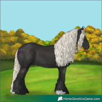 Horse Color:Liver Chestnut Mushroom 