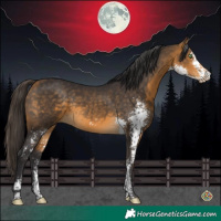 Horse Color:Buckskin Sabino