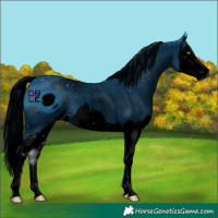 Horse Color:ERROR: UNKNOWN ANOMALY