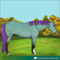 Horse Color:Platinum Painted Bay Dun