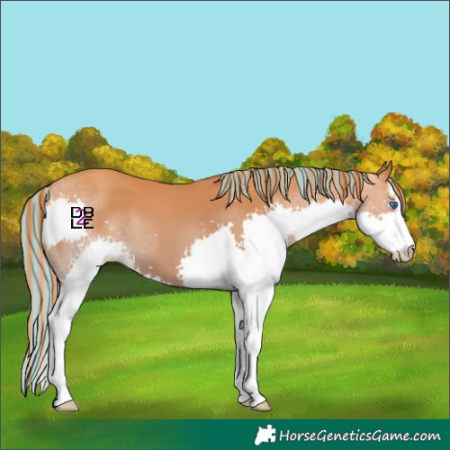 Horse Color:Painted White Spotted Gold Champagne Splash