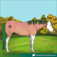 Horse Color:Platinum Painted Amber Champagne Splash 