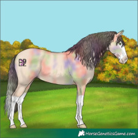 Horse Color:Nacre Amber Champagne Dun Splash 