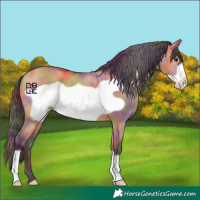 Horse Color:Nacre Bay Dun Frame 