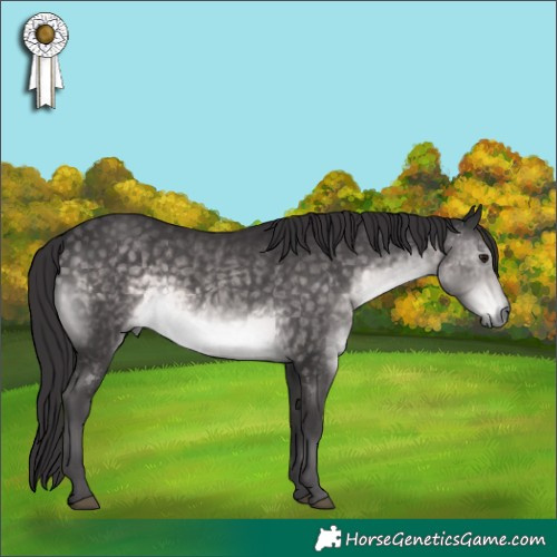 Horse Color:Platinum Buckskin 