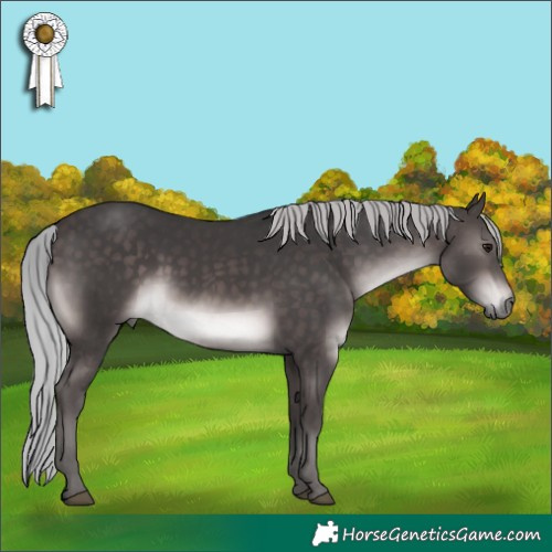 Horse Color:Platinum Silver Brown 