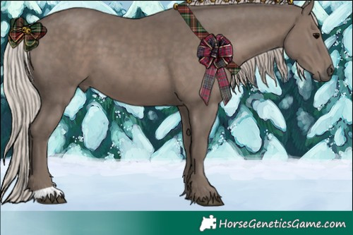 Horse Color:Silver Black