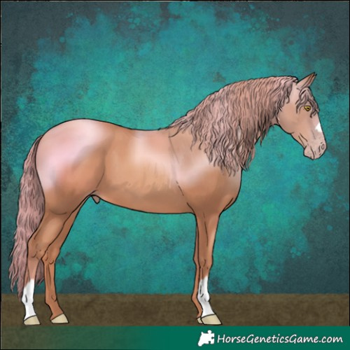 Horse Color:Gold Champagne