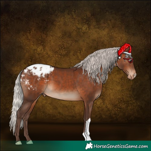 Horse Color:Silver Brown Blanket 