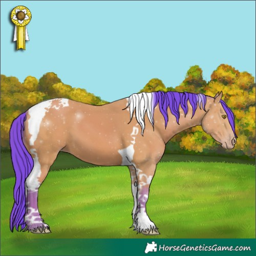 Horse Color:Watercolor Amber Champagne Tobiano