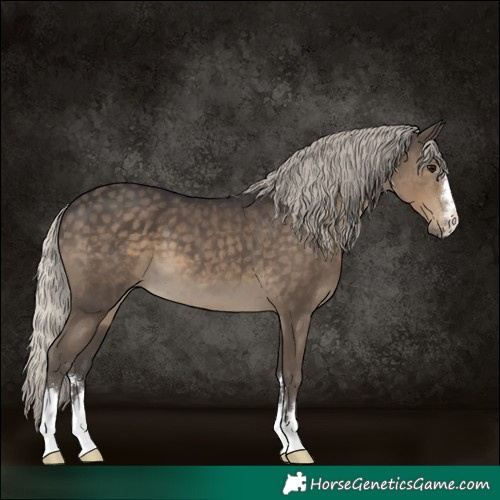 Horse Color:Silver Smoky Black 