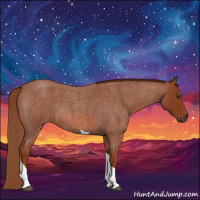 Horse Color:Red Roan Tobiano 