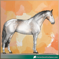 Horse Color:Gray White Spotted Buckskin Tobiano Appaloosa Rabicano 