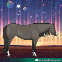 Horse Color:Grullo 