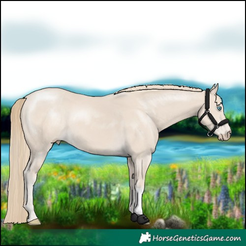 Horse Color:Smoky Creme
