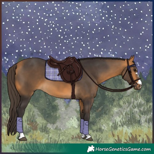 Horse Color:Buckskin 