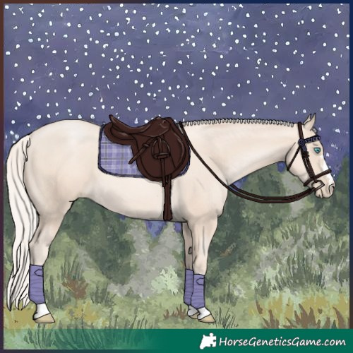 Horse Color:Gold Cream Champagne Pearl 