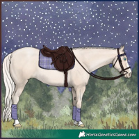 Horse Color:Gold Cream Champagne Pearl 