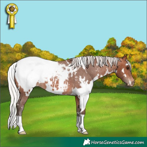 Horse Color:White Spotted Silver Brown Snowcap
