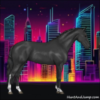 Horse Color:Black Tobiano Rabicano 