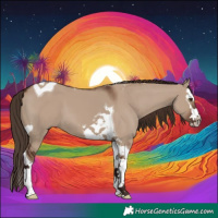 Horse Color:Liver Red Dun Splash Tobiano