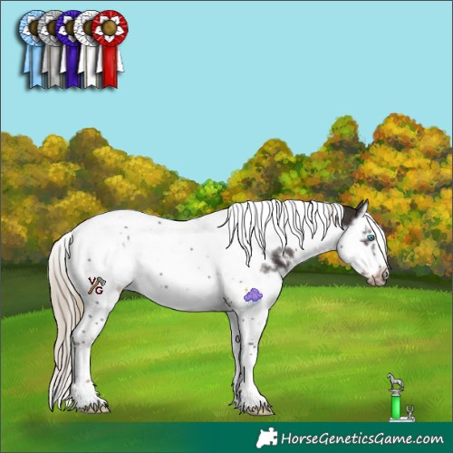Horse Color:White Spotted Liver Chestnut Splash Tobiano Frame Rabicano 