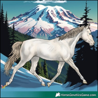 Horse Color:Buckskin Roan Pearl  and Buckskin Roan Pearl 