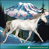Horse Color:Buckskin Roan Pearl and Buckskin Roan Pearl