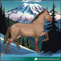 Horse Color:Red Dun