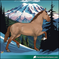 Horse Color:Red Dun 