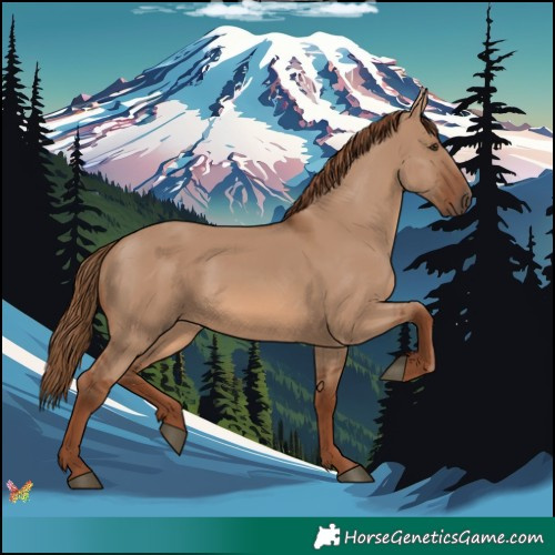 Horse Color:Red Dun