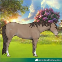 Horse Color:Classic Champagne 