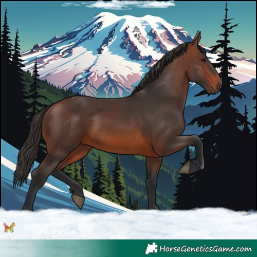 Horse Color:Brown 