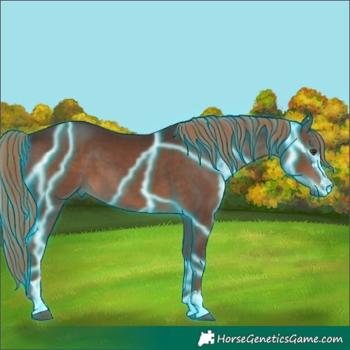 Horse Color:Thunderstruck Liver Chestnut 