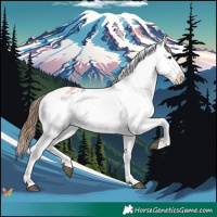 Horse Color:Red Dun Varnish 